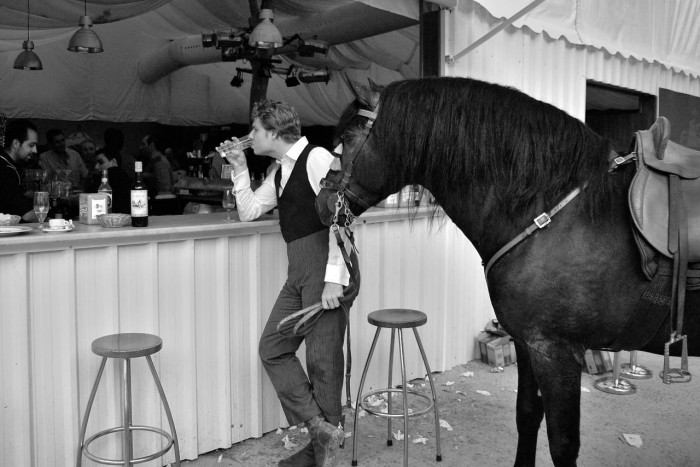 A horse walks into a bar....jpg (184 KB)